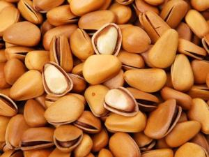 寶寶能吃松子嗎?寶寶吃松子的做法