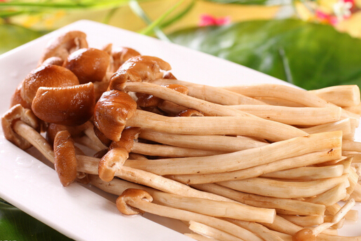 孕婦可以吃茶樹(shù)菇嗎?孕婦吃茶樹(shù)菇的禁忌