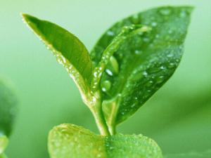 �ЋD�ܺȾG��᣿�ЋD�ȾG��ע�����