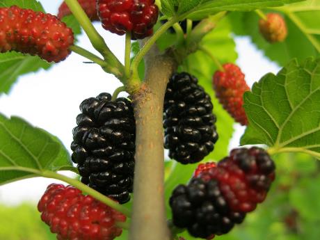 �ЋD���Գ�ɣ�؆᣿�ЋD��ɣ�غÆ�