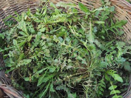 �ЋD�ܳ��j�ˆ᣿�ЋD�����j�˕�����