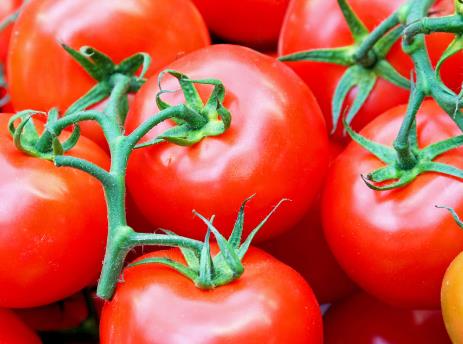 �ЋD�����t���Æ᣿�ЋD���Գ����t����