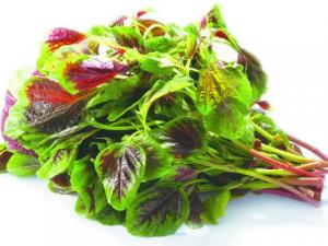 孕婦能不能吃莧菜？孕婦吃莧菜的做法