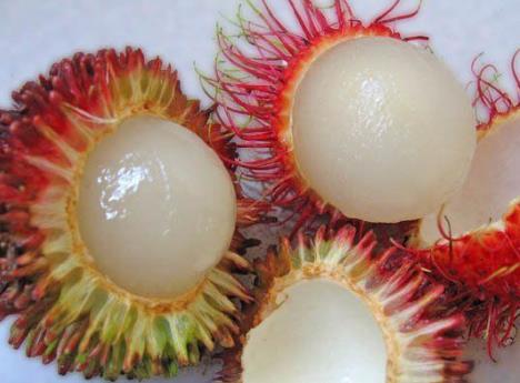 孕婦能吃紅毛丹嗎?孕婦吃紅毛丹有什么好處