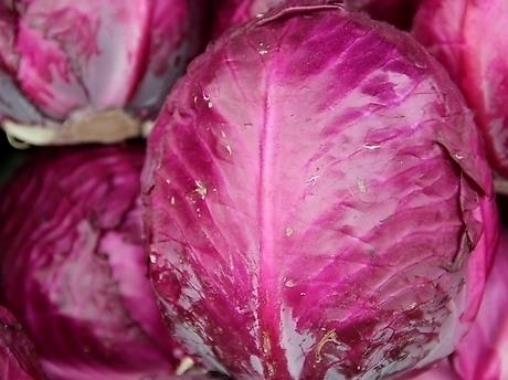 �ЋD�ܳ��ϸ��{�᣿�ЋD���ϸ��{������