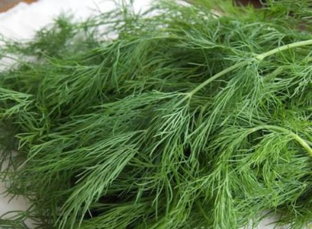 最高鈉蔬菜:茴香、芹菜、茼蒿,不用放鹽。