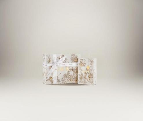 迪奧小型皮具,迷你包包為隨心混搭創(chuàng)造無限可能