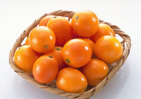 �@Щ����ʳ�ĳԶ�Ҳ�������w