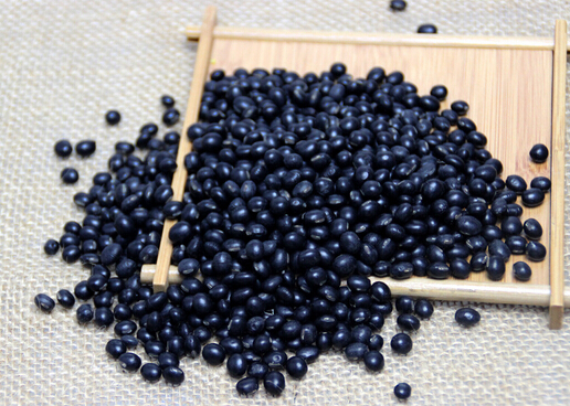 ��ʳ�ڶ����������пƌW�����᣿