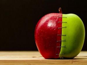 轉(zhuǎn)基因食品安全嗎？轉(zhuǎn)基因食品是什么？