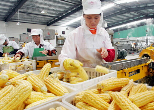 Ó֬���������潡��-ʳƷ���I������֪������