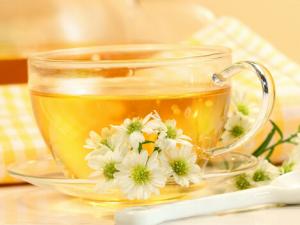 兒童不要喝菊花茶-什么人不可以喝菊花茶？