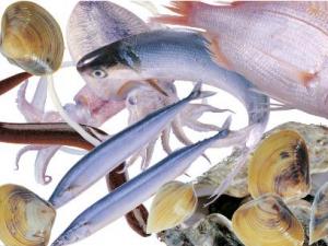 得了蕁麻疹不能吃什么？蕁麻疹的飲食禁忌