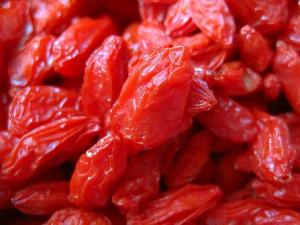 枸杞吃多易上火:揭什么樣的人吃枸杞反傷身