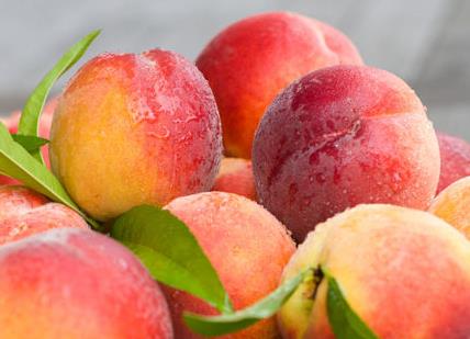 桃子吃多了會怎么樣?桃子吃多了上火嗎