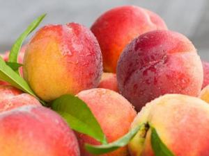 桃子吃多了會(huì)怎么樣?桃子吃多了上火嗎