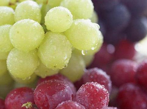 如何挑選葡萄?吃葡萄的注意事項
