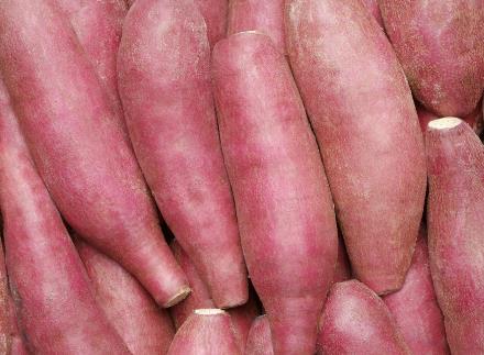 ������x�t�����Լt����ע�����(xi��ng)