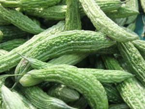 如何挑選苦瓜？吃苦瓜的注意事項
