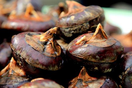 如何挑選荸薺?吃荸薺的食用禁忌