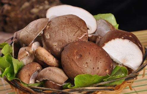香菇不能和什么食物一起吃?與香菇相克的食物