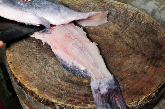 吃魚的三大禁忌 魚汞含量最高部位排名:魚頭>魚皮>魚肉>魚子