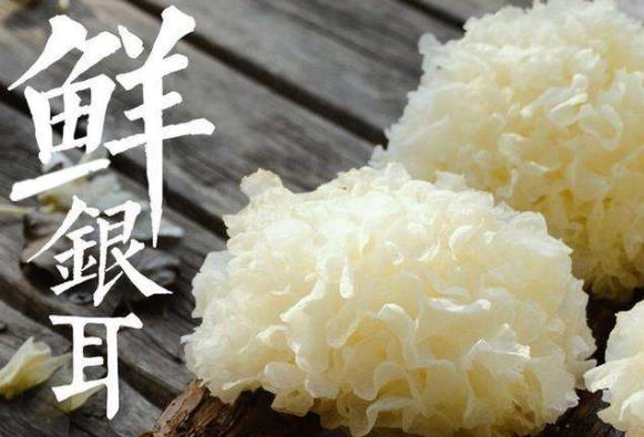 新鮮銀耳有毒嗎?新鮮銀耳怎么去毒?銀耳中毒怎么辦?