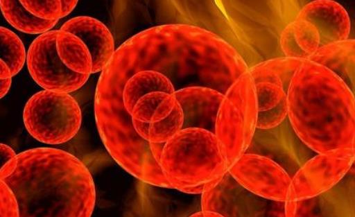 喝茶有哪些禁忌?喝茶的好處及壞處有哪些?