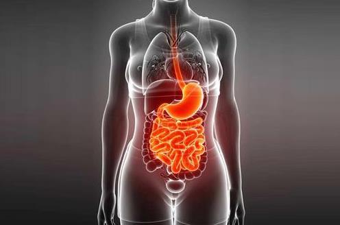 結腸癌不能吃哪些水果?結腸癌的危害是什么