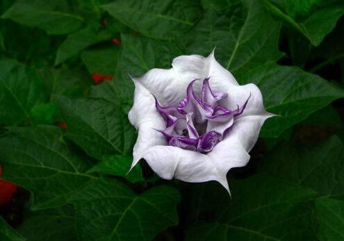 �����_���Ľ�B-�����_�����Ҿӭh����Ӱ�