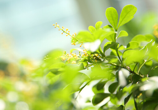 ���m�����Ҿӭh����Ӱ�-���m���c�Ҿ��L��Ĵ���