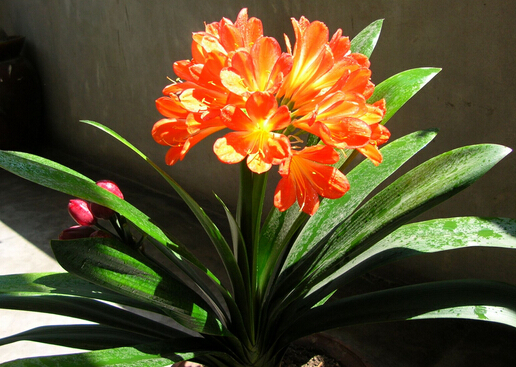 �����m���Ҿӭh��������-�����m���Lˮ�W����