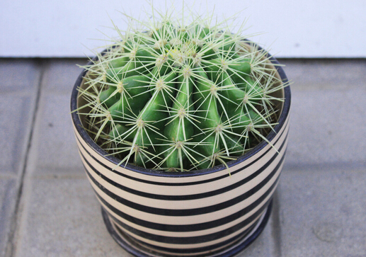 �����򌦼Ҿӭh����Ӱ�-������[���Lˮ�v��