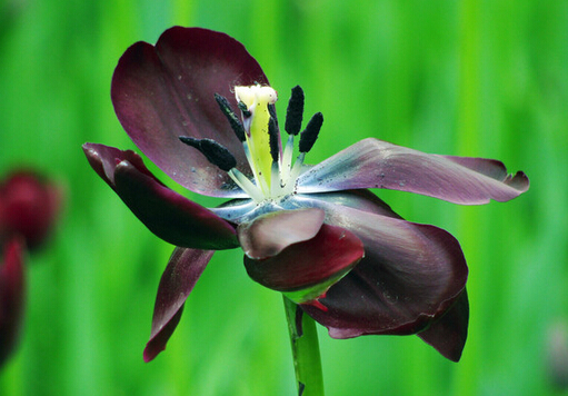 �����ˌ��Ҿӭh(hu��n)����Ӱ�-�����˵��Lˮ�W����