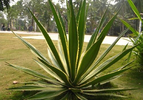 �����m���Ҿӭh����Ӱ�-�����m�c�Ҿ��L��Ĵ���