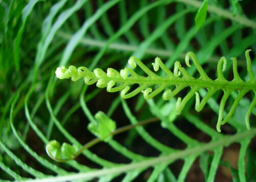 ���Fާ���h����Ӱ�-���Fާ���Lˮ����