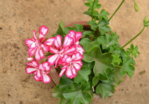 ���ÿ��c�Ҿ��L��Ĵ���-���ÿ��ڼҾ��е�����