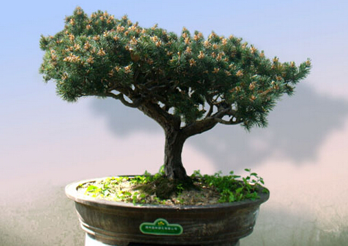 ����ɵ��Lˮ�W����-������ڼҾ��е�����