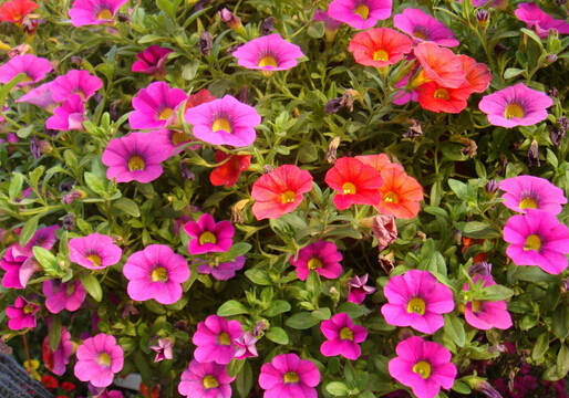 ������L(f��ng)ˮ�W(xu��)��(y��ng)��-����c�Ҿ��L(f��ng)��Ĵ���