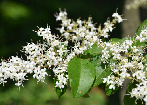 Ůؑ�c�Ҿ��L��Ĵ���-Ůؑ���Lˮ�W����