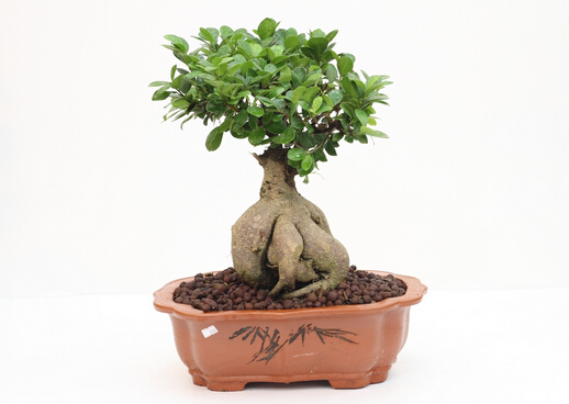 �˅����c�Ҿ��L��Ĵ���-�˅��ŵ��Lˮ�W����