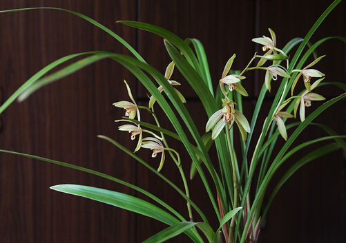 ���m�c�Ҿ��L��Ĵ���-���m���Lˮ�W����