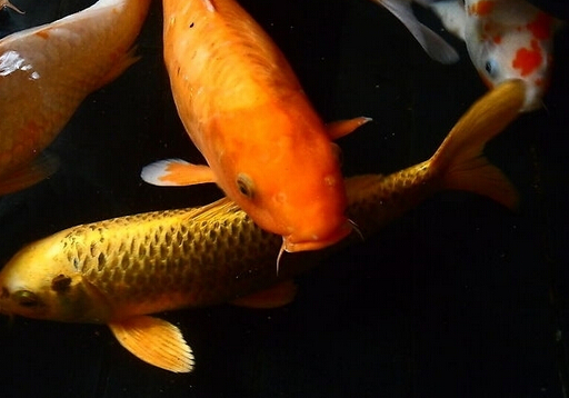 �\���~��Ʒ�N-�\���~���B�o