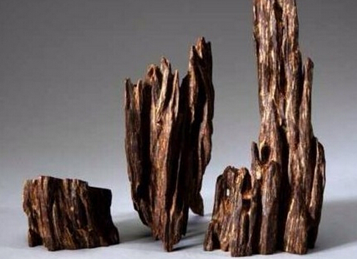 ����ľ���b�e-����ľ�Ľ�B