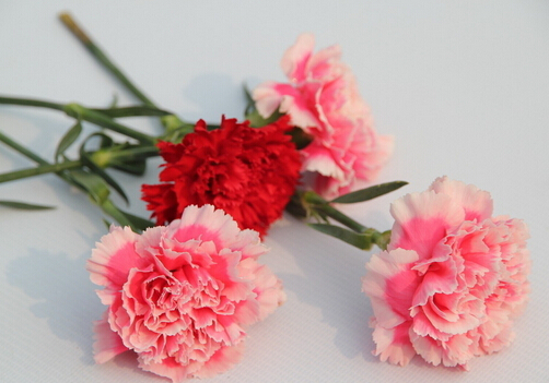 ����ܰ��Ʒ�N-����ܰ�Ľ�B