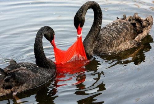 ���ϴ����h����Σ������Щ�����ϴ��Ķ���