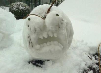 奇葩是什么意思?網絡用語奇葩男女是什么意思