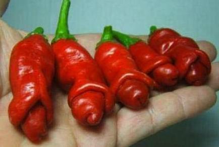 一步到胃 器大活好6.jpg