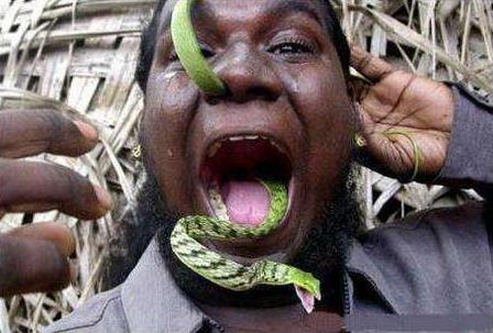 不作死就不會死(No zuo no die)是什么意思?什么梗