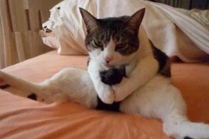 自慰是什么意思?手淫、打手槍、打飛機是什么意思